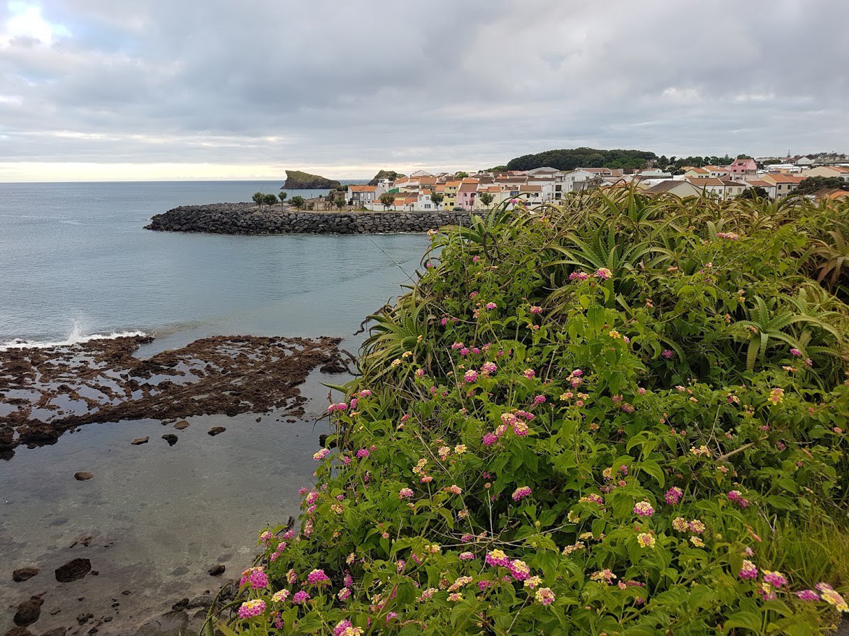 Цветущие Азоры и немного Синтры