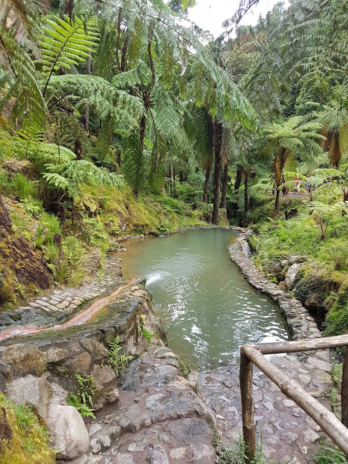 Цветущие Азоры и немного Синтры