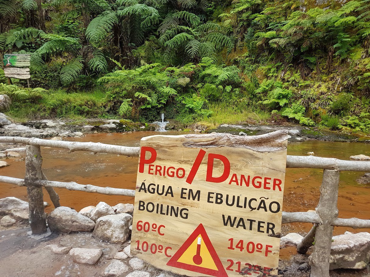 Цветущие Азоры и немного Синтры