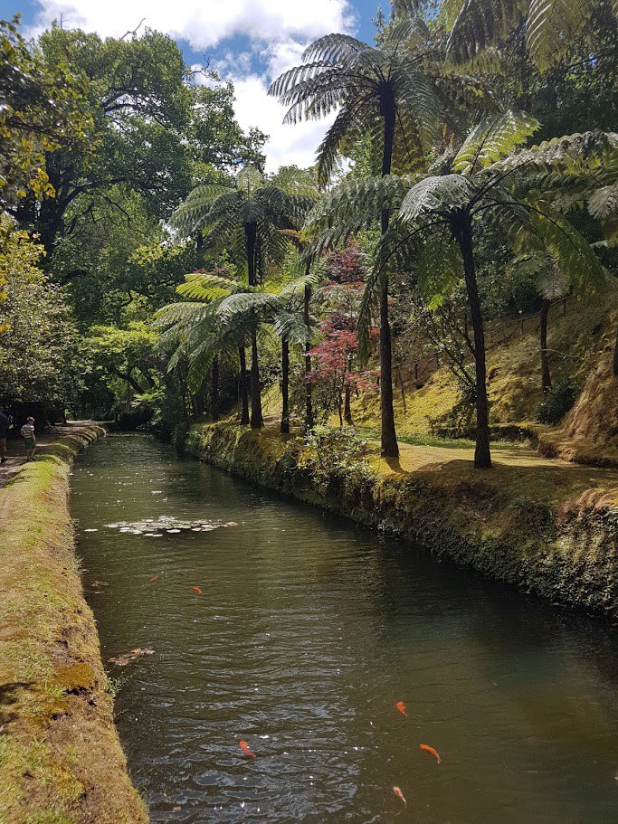 Цветущие Азоры и немного Синтры