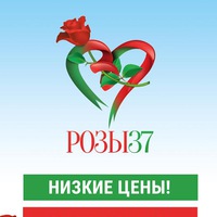 rozi37