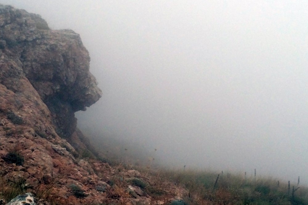 wildlife.crimea.ua