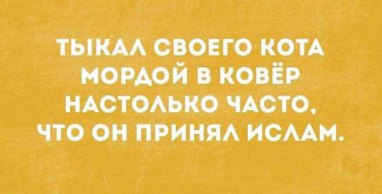 https://pp.userapi.com/c836331/v836331355/6133f/v1vObfEe_e0.jpg