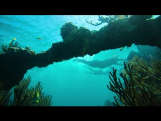 Flying Underwater! - Subwing in 4K