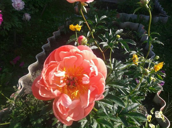 фотография из вКонтакте