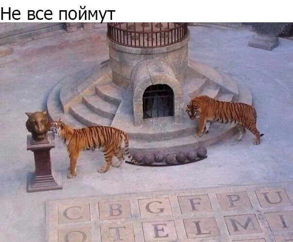 Помните)