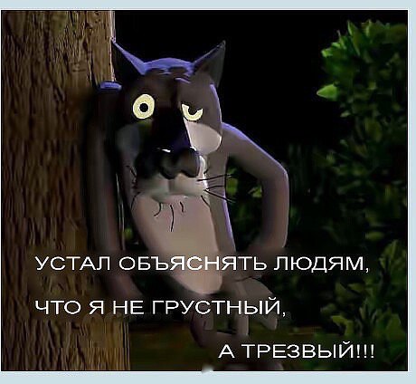 Радик Кильмакаев, Россия, Нижний Новгород