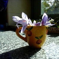 Наталия Вагнер |