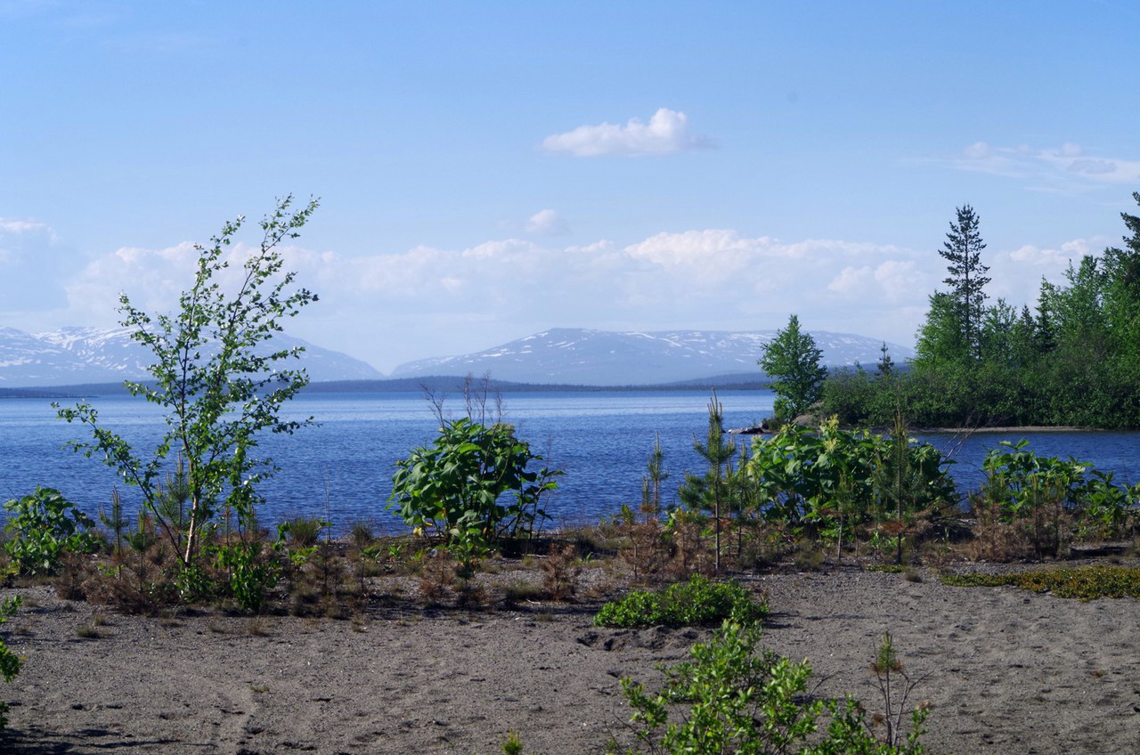 Риж губа мончегорск карта