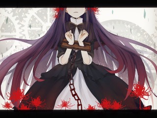 {AMV}Madoka Magica - Rebellion