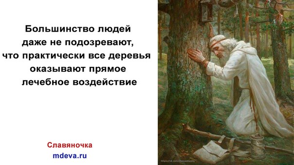 Древесная энергетика Древесная энергетика