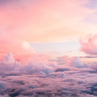 Майя Лазарева | 