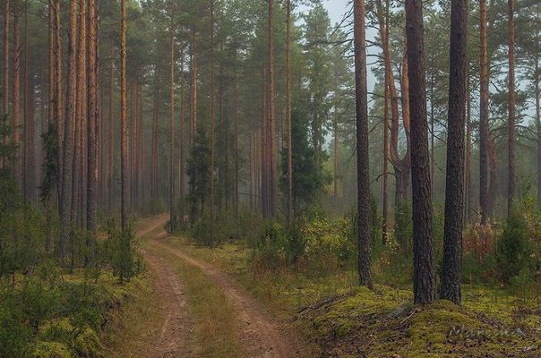 Вологодская область. Настоящая русская красота.