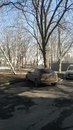 Объявление от Мария - фото №1