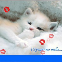 Ксения Доронина | Казань