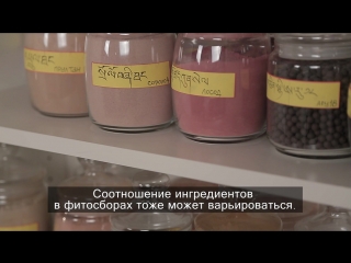ЛЕЧЕНИЕ ТРАВАМИ (ВОСТОЧНАЯ МЕДИЦИНА)