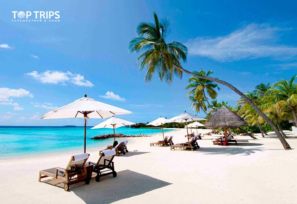 #Выгодное_предложение@toptrips  Улётное предложение