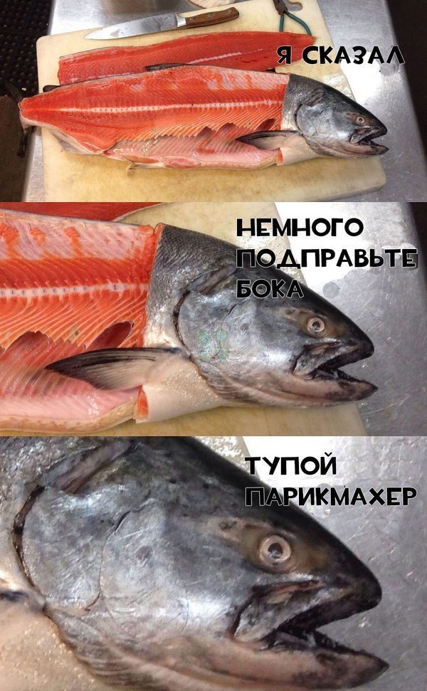 fs4U-5nKwYM.jpg