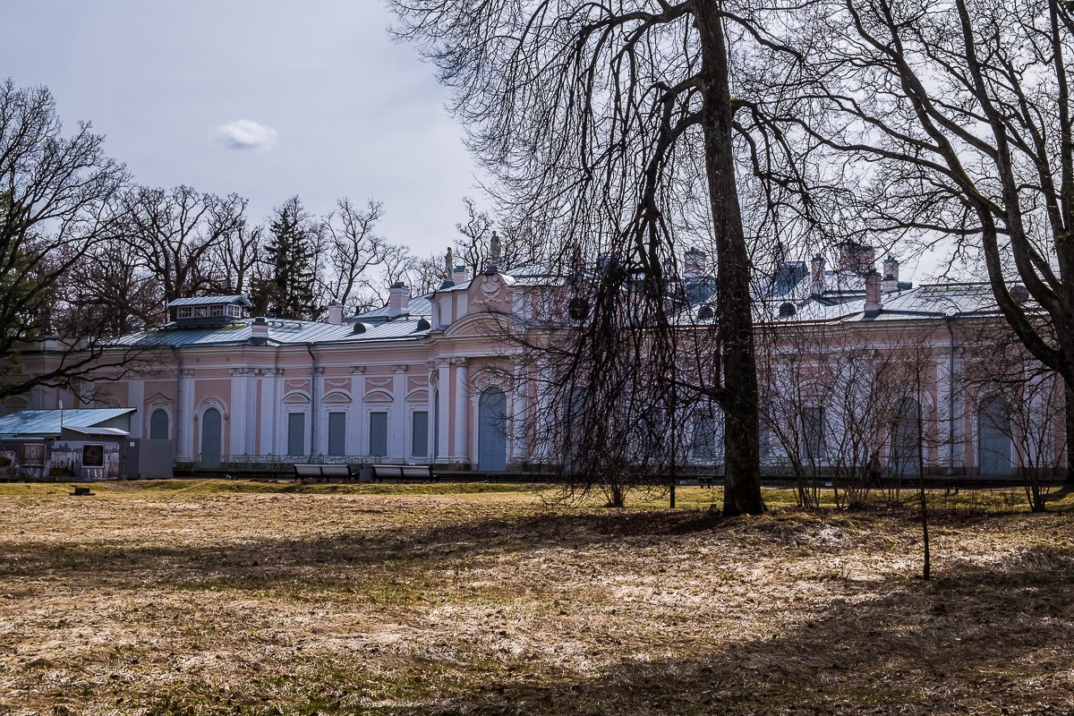 dJSyzHVy8n0.jpg
