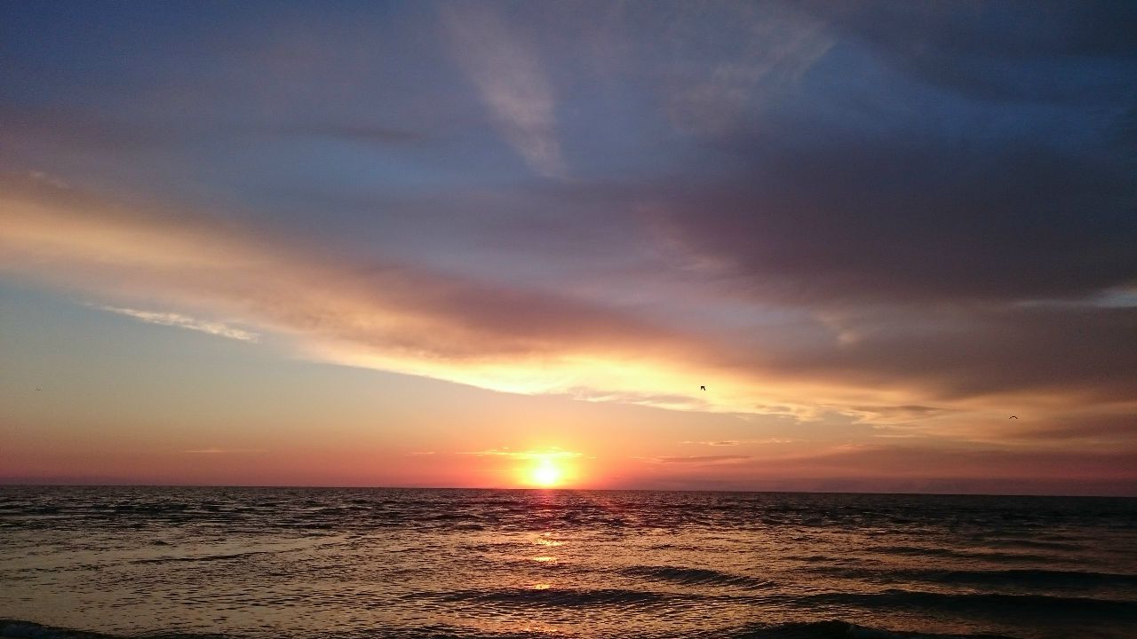 https://pp.userapi.com/c836427/v836427316/5aef1/BCBnbpBUoFw.jpg