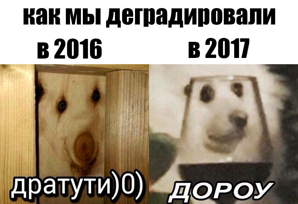 nSlnQ0yIaqk.jpg