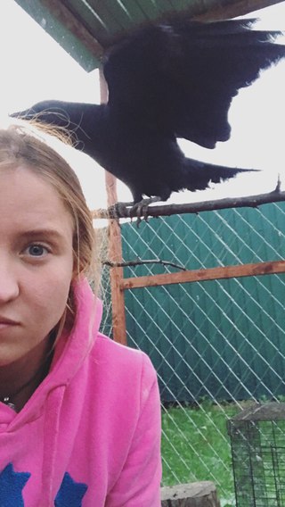 Скачать Я По Комнате Гуляют Черные Вороны