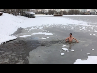 Первое апреля а-ля морж