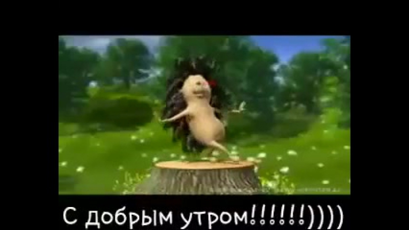 ВИДЕО ТАНЦУЮЩИЙ ЕЖИК НА ПЕНЬКЕ СКАЧАТЬ БЕСПЛАТНО ВИДЕО ТАНЦУЮЩИЙ ЕЖИК НА ПЕНЬКЕ СКАЧАТЬ БЕСПЛАТНО