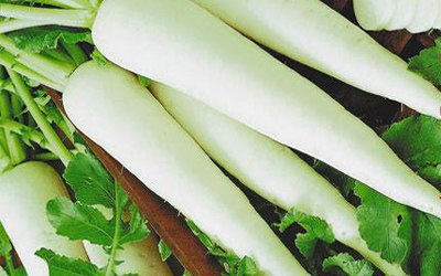 Маска для рук с редькой и яблоком 