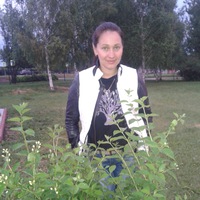 Елена свечникова вовк германия