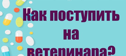 Шпоры По Истории Беларуси На Русском Языке Бесплатно