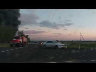 Дым от горящих свиней под Омском