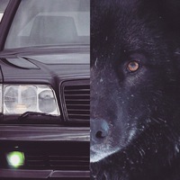 Рамзан Гехаев