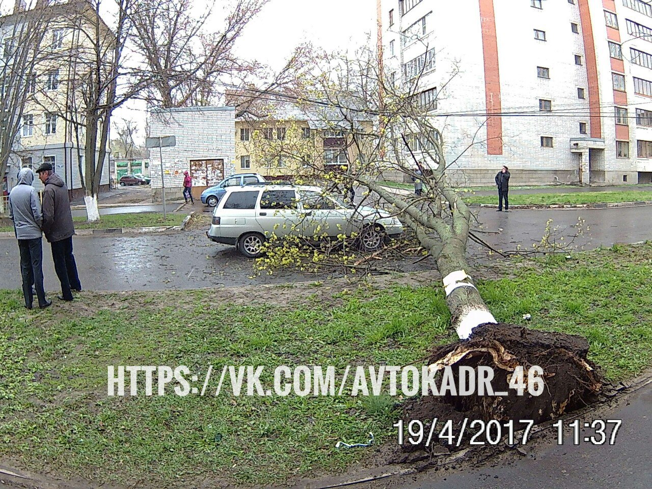 Разборка меган курск