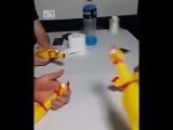 Музыка из ничего