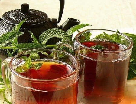 Средства и травы, выводящие мокроту из легких и бронхов: 