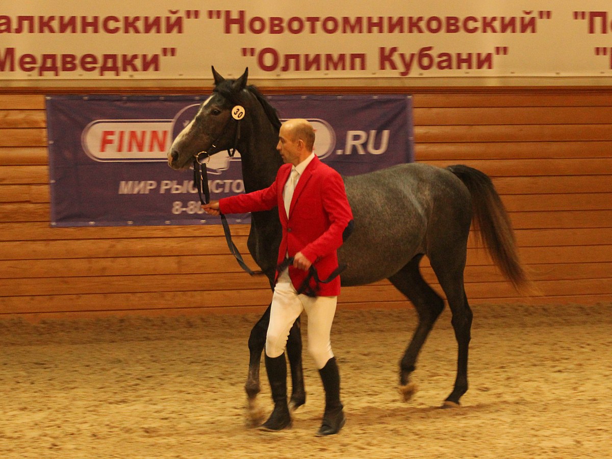 Прокони дневник