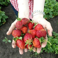 Юлия Исаева