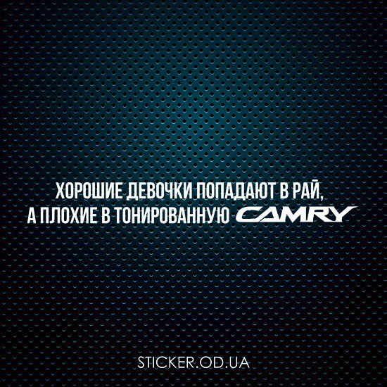 Плохие девочки попадают в тонированный мерседес