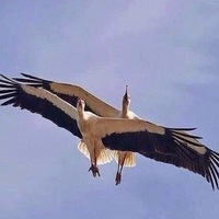 Мария Зинчен