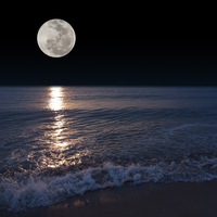 Арслан Махмудов