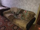 Объявление от Иришка - фото №1