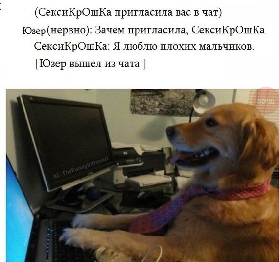 FMOjAdL-yxk.jpg
