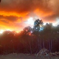 Владимир Зайнулин