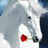 Чимита Цынгеева