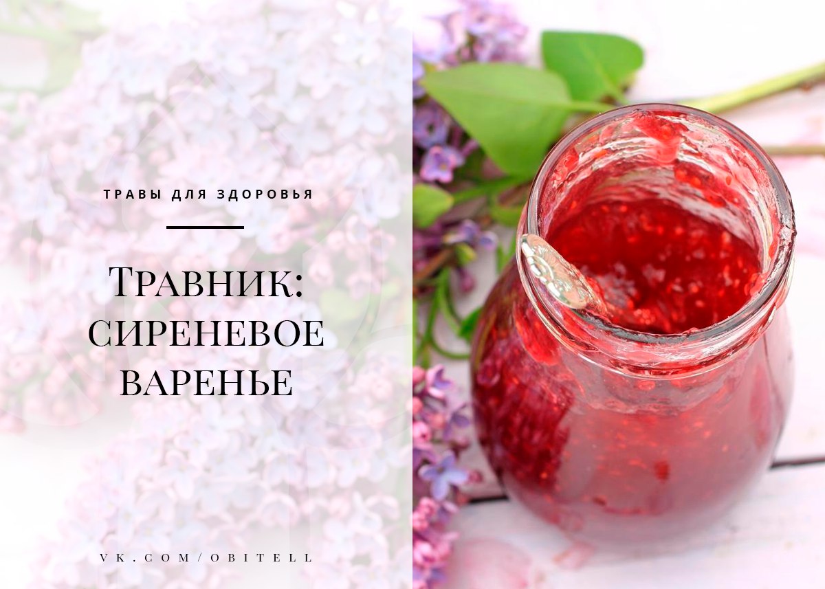 Фиолетовое варенье виолетта валерьевна картинки