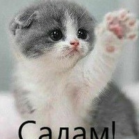 Диана Магомадова | 