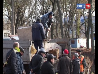Пруды Петровского парка зарыблены: в водоемы выпустили более 400 кг подросшего малька