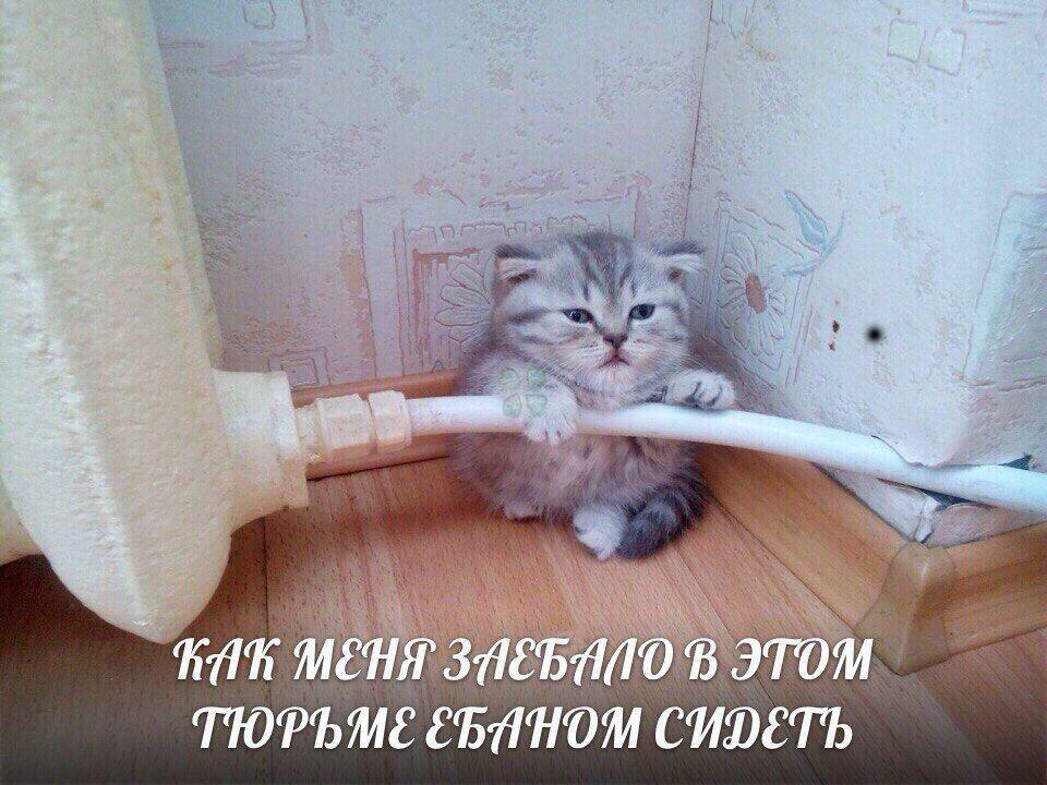 DbXXHsCfHP8.jpg