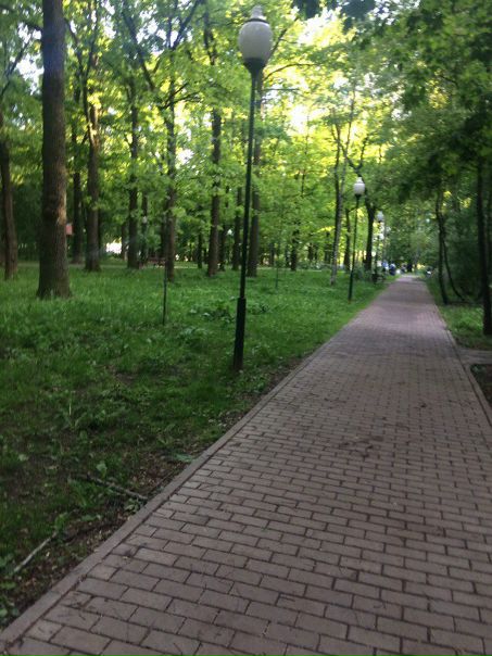 Фото: Добрый день. Сдаю комнату. <br>В 3-х комнатную квартиру.БЕЗ ХОЗЯЕВ.1-комната закрыта,во 2-ой проживаю сама.Сдается на длительный срок-20 000 руб+коммуналка по квиткам.Домашний телефон, холодильник,стиральная машина,Wi-Fi Санузел раздельный.В каждой комнате балкон.Из мебели все есть.Комнаты изолированы.Жду адекватного, платежеспособных соседа/соседку.<br>Территориально ЗАО м.Молодежная 15 мин.на транспорте, ул.Барвихинская д4к1.Квартиру снимаю 2 года.<br>Предоплата за 1 месяц.Фото по запросу.